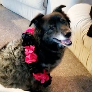 Meet your Posher, Chantelle